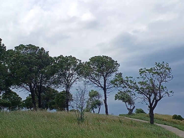 Stbs Luxury, Nea Fokea, Greece